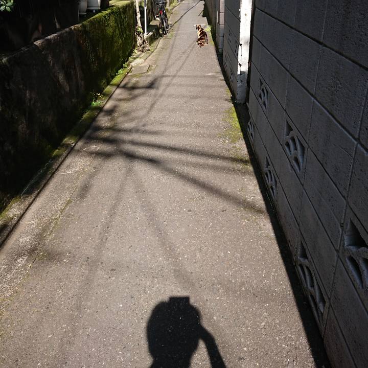 8a3b5c11 f278 4933 829c c9faae74ef73 1684635404035