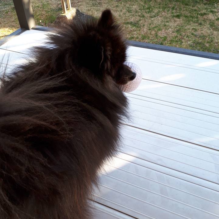 8a3b8a2c 7fc3 402e baaf 2ffc479851c5 1516862549452