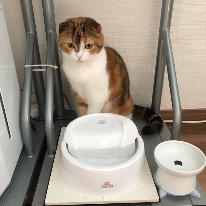 8a3b94c3 c149 4dc2 8aa9 1b2739c64311 1542511751771