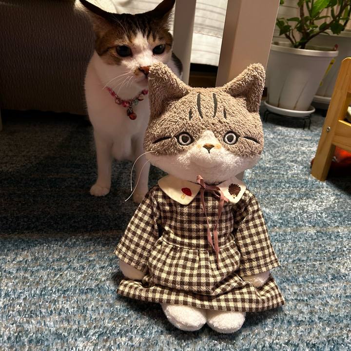 8a3bf49c 8650 4950 bd01 92f9b5602ad4 1757457315054