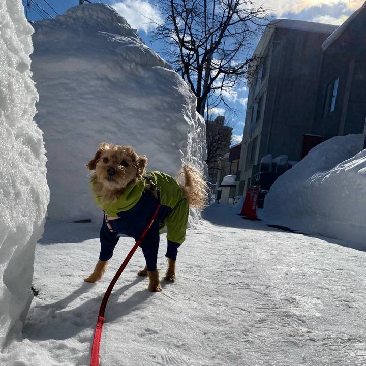 8a3c1d2a c25d 434d b27c 04f03aff70fc 1644035658916