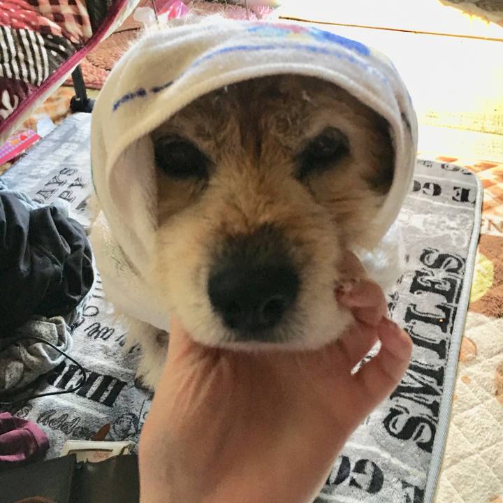 8a3c278c 751d 4705 9be0 58237fd43f65 1614640964068