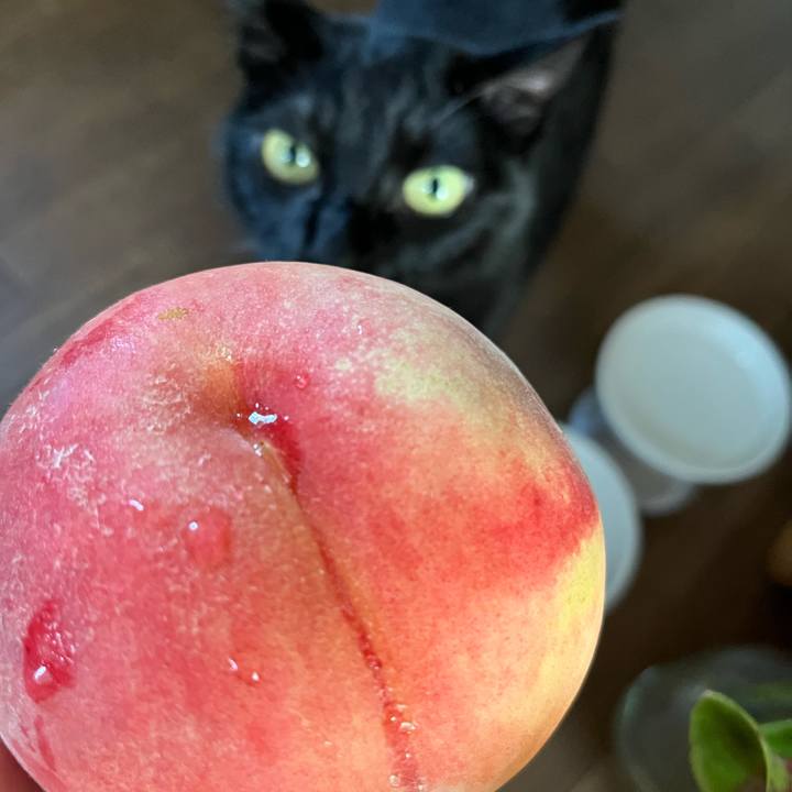 8a3c72b6 5fb9 4f92 a997 fb6dfeef4a28 1756604692579