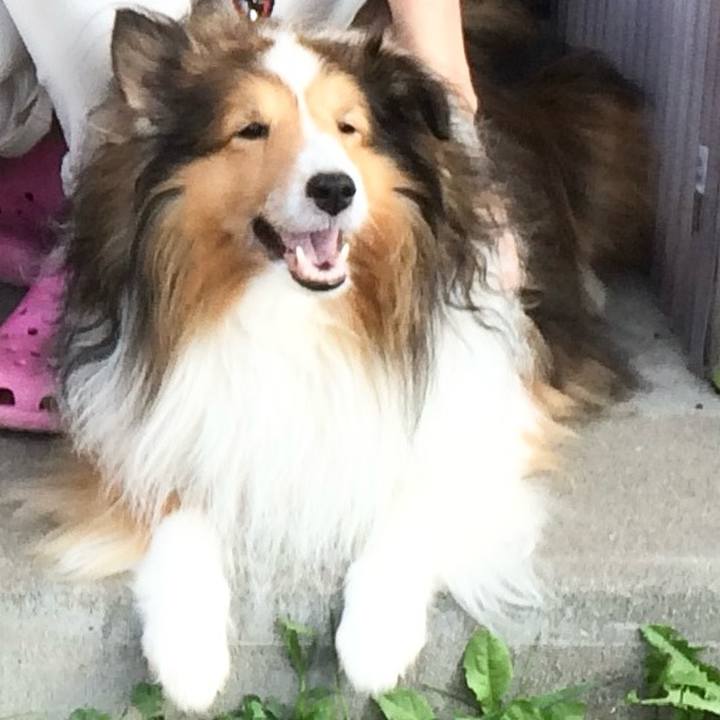 8a3c9e20 945f 48a2 9b0c 87eac212162f 1762683940884