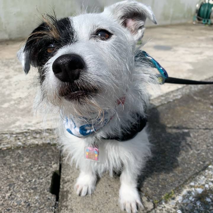 8a3ccee3 9ad7 4467 ac51 9e057f664686 1656027971838