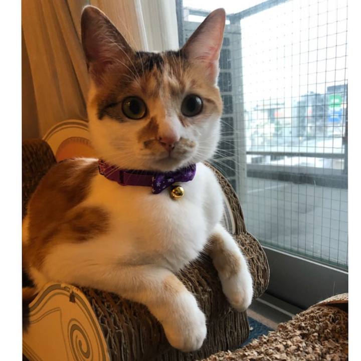 8a3cd8a7 e698 4446 9540 4819e705405a 1600592257577