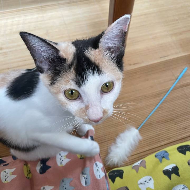 8a3cebf1 b25e 4d25 97e7 5d2ea9f86d28 1664232786266