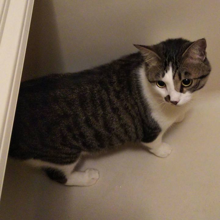 8a3d04fa 4eff 4117 843c b1550f0b7dce 1652876578566