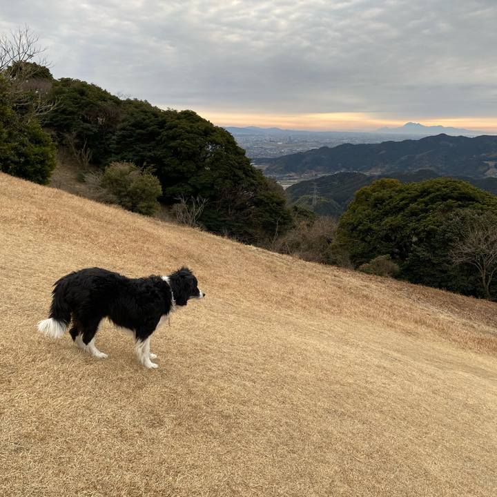 8a3d183c a0a7 4d50 9104 71453243cca8 1646039848483