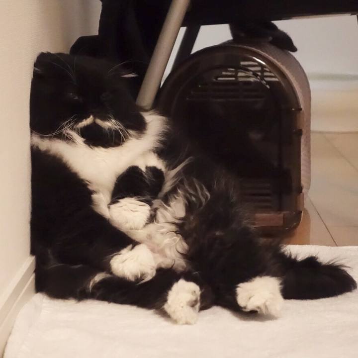 8a3d49a9 8530 4886 9d31 70037630af98 1515597518492