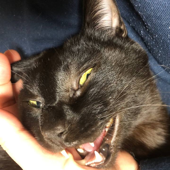 8a3d5341 6169 4469 a12e b9ea7d0b174f 1734792349852