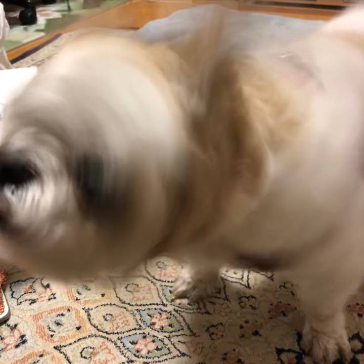 8a3d7a0f 7a2d 4d3c a631 dc0db79d8111 1589842187778