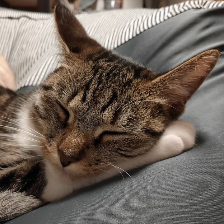 8a3d8b8d 338c 433d 8b37 4871b3dee8ba 1675423293364