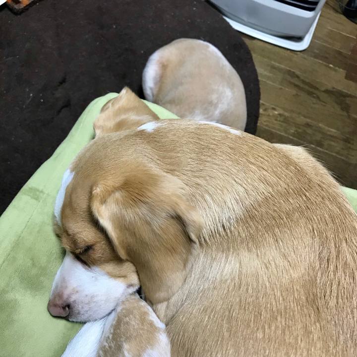 8a3d92f6 881c 4336 a0ba fd2c7271eea8 1550324046733