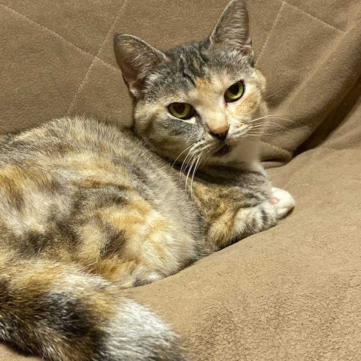 8a3da4db 0b46 483c 9400 9c472a555f72 1616966895213