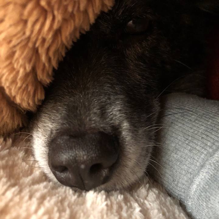 8a3daeb4 9a45 4fc2 8ff8 f0ff70de89a3 1607211461233