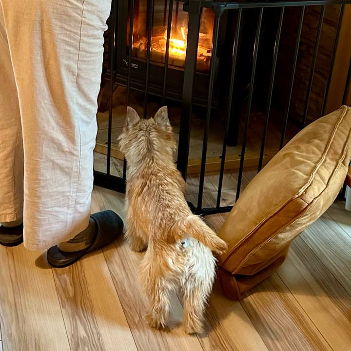 8a3dc0b0 0069 4907 8c37 f1ebde4f77ff 1717141579035