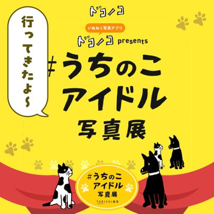 8a3e0799 b8fb 4432 a07e c9d600db7cd4 1761148691436