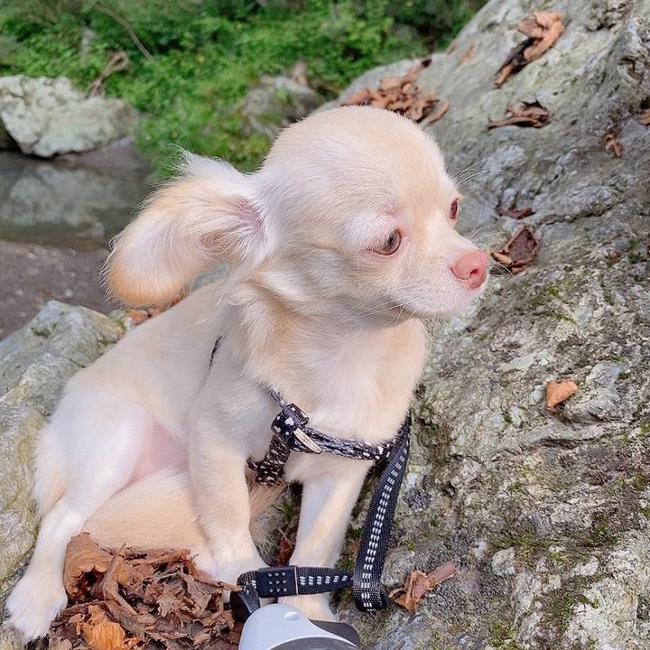 8a3e0ded 224f 4f02 89b5 67eefb80fc38 1596964092139