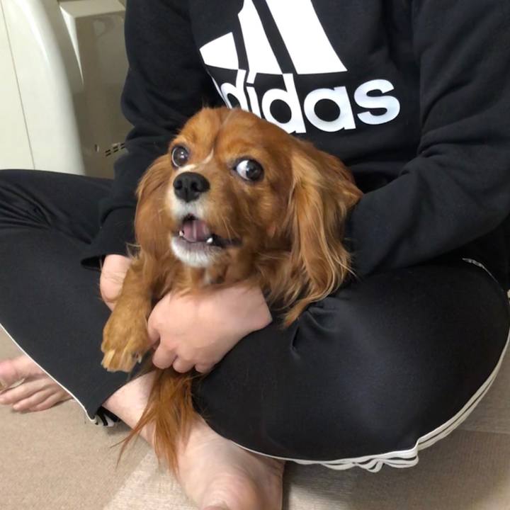 8a3e51e0 9780 4843 8fd9 bf3a58a64b71 1585866588430