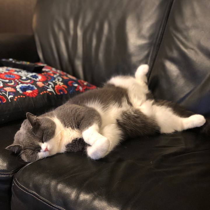 8a3e575d a464 4f52 aa91 9ce0ba3b76bc 1581668915201