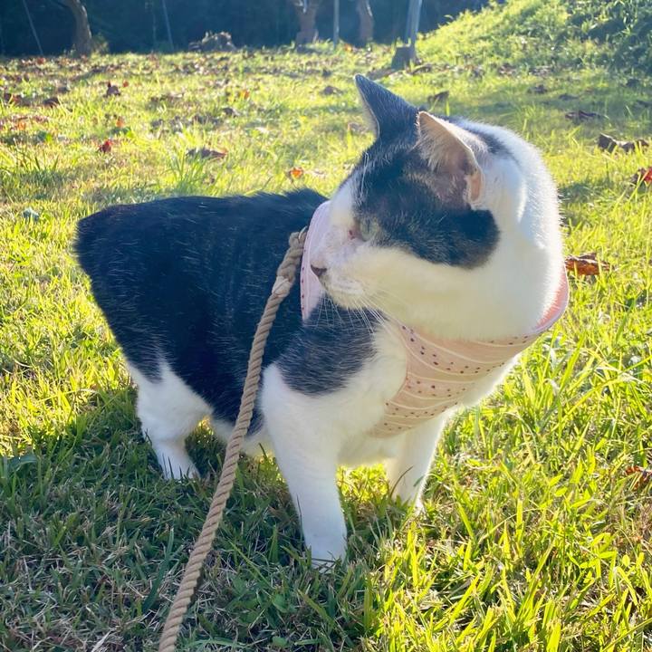 8a3e5840 a00a 4fc3 a241 995bbcb44e2b 1605335528364