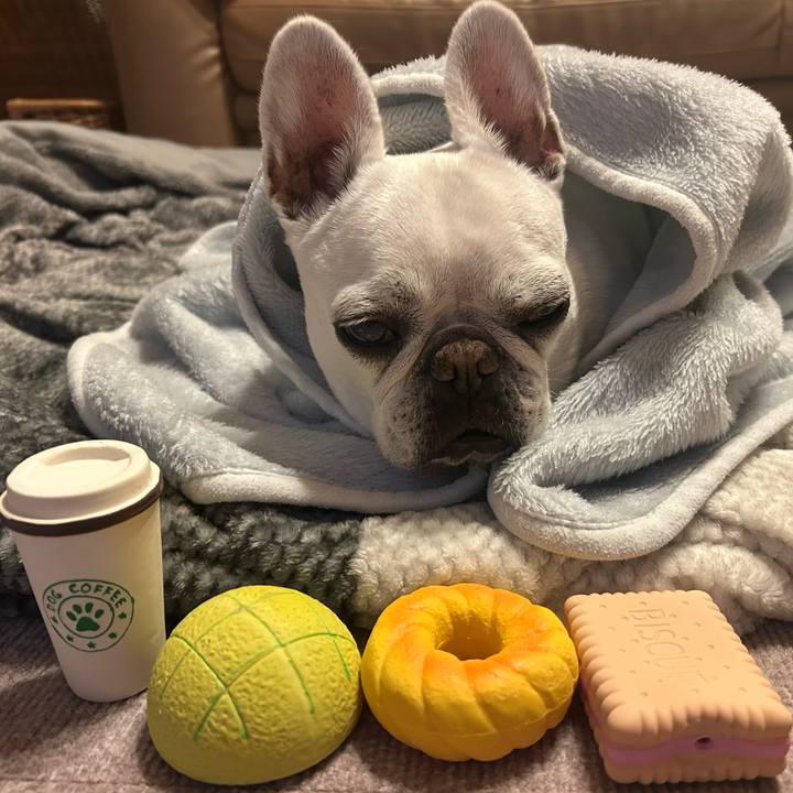 8a3e5abd 34b3 4ba6 9e2d 9419c52092e5 1735123372297