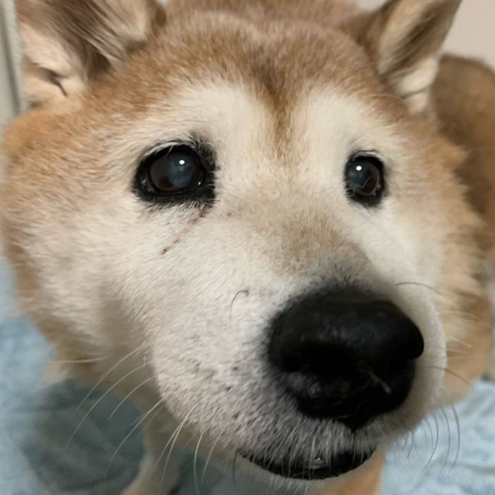 8a3e6bd4 78fd 4433 a96c 3cf006bf77f2 1615020577367