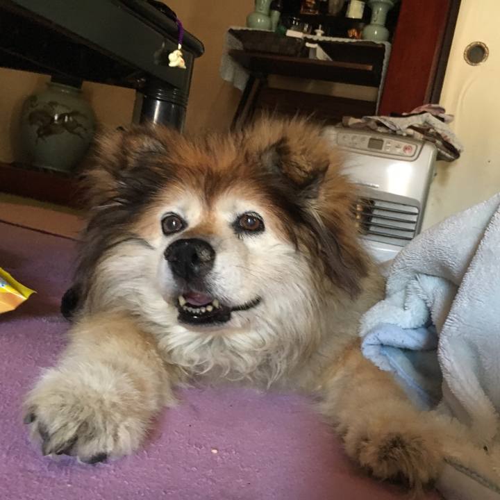 8a3e7f65 ca25 4d51 bca6 99ee9c78c622 1556785527517