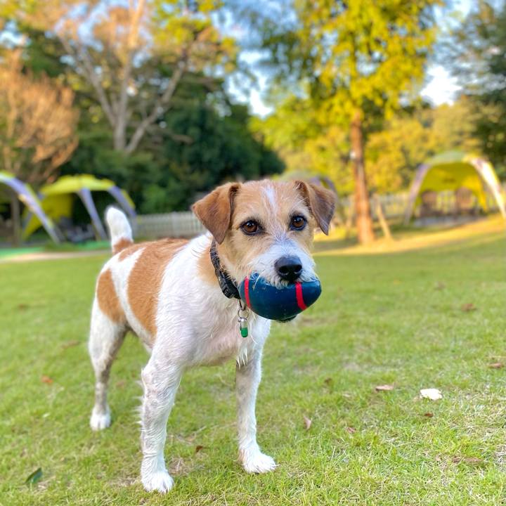 8a3e89ed 81c0 41eb 8d66 6cfda01d9ea8 1633443929102