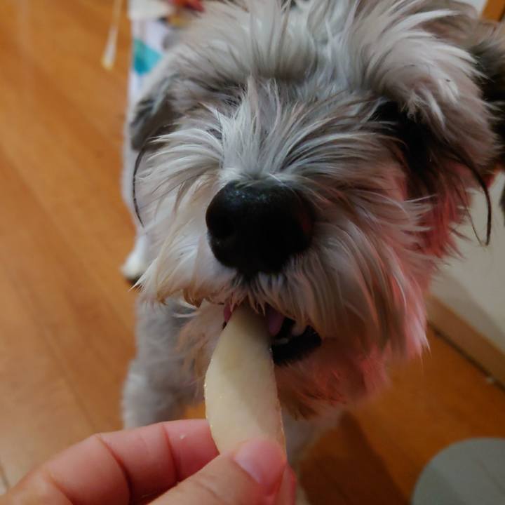 8a3e986a 9da5 46a8 a12e 60b0400fa3c3 1765841325571