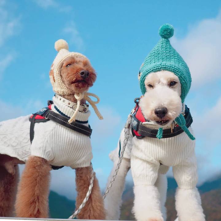 8a3eac99 b282 4852 9e38 11a02a221a3c 1606662038632