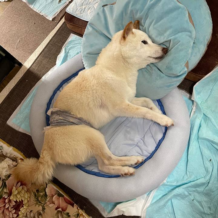 8a3ebee4 604d 4ea0 8d6b 993244a78f5c 1656575194249