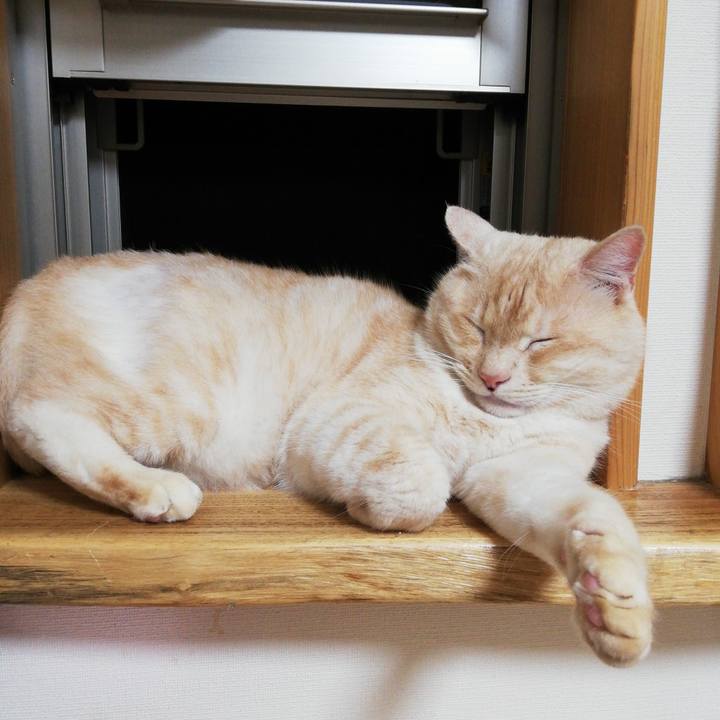 8a3ed6a2 ee98 4a8e b29e b31c8300dabf 1621253587573