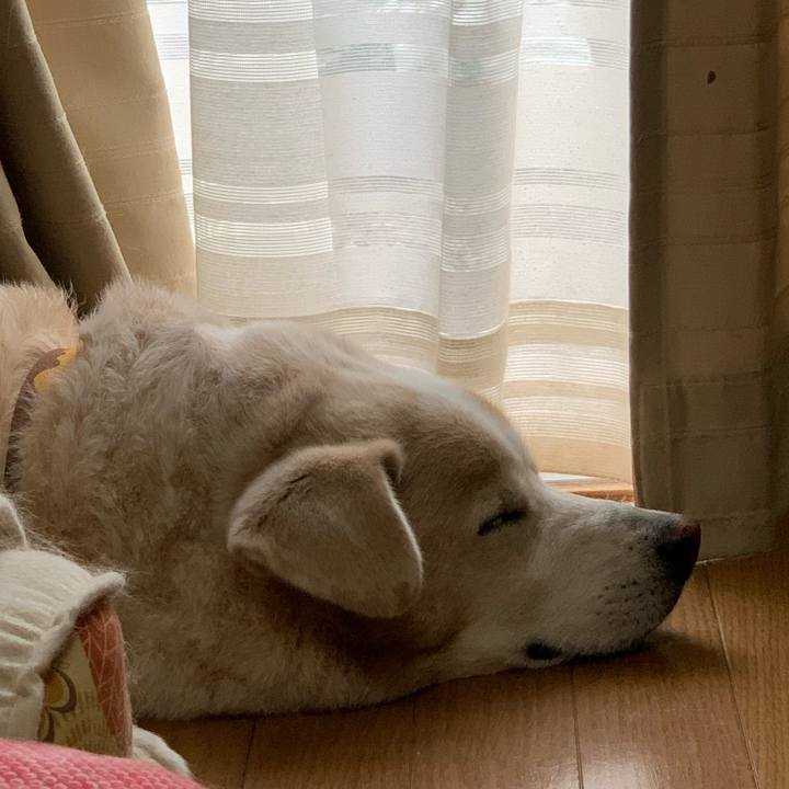 8a3eeb8e 8f1b 49e6 a8c7 5d2d300765a2 1665361561466