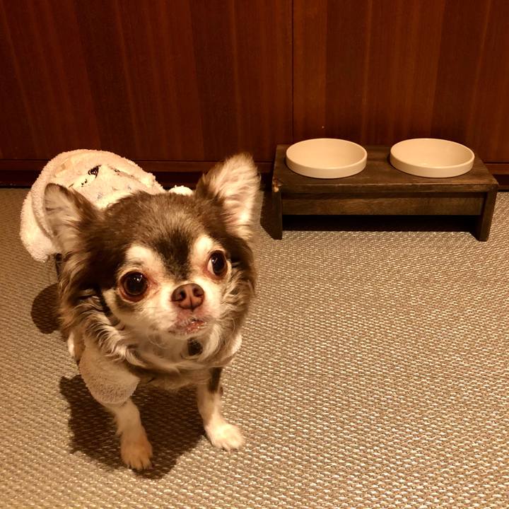 8a3f2368 24d2 41ac b247 8f94f0d3ff69 1607091126113