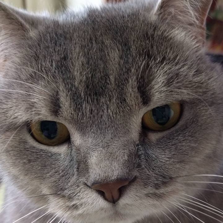 8a3f2af3 4555 496e af55 9465b0632c76 1561806553449