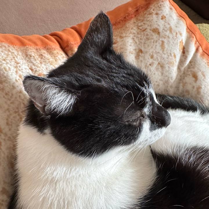 8a3f323a 9146 4818 9ba3 941c43957835 1773540452527