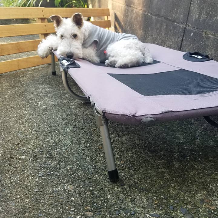 8a3f4f4c b633 489c 9d58 8da1eaabf797 1588233362505