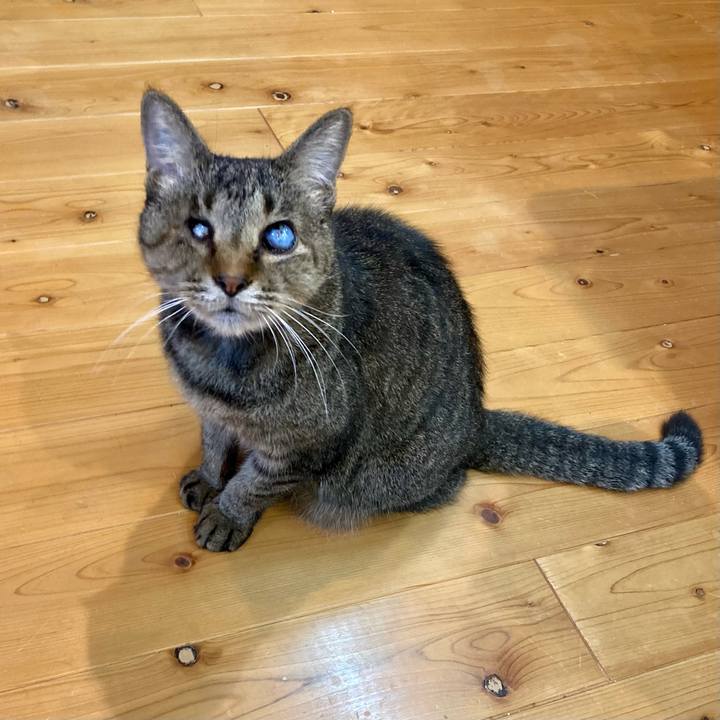 8a3f566f bd69 4fe2 92aa d83390dfcafd 1668504566117