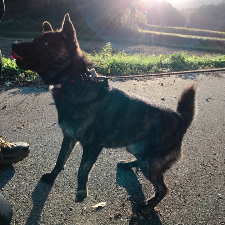 8a3f629a 3a3b 46a5 a903 fd95836c02a4 1508296603189