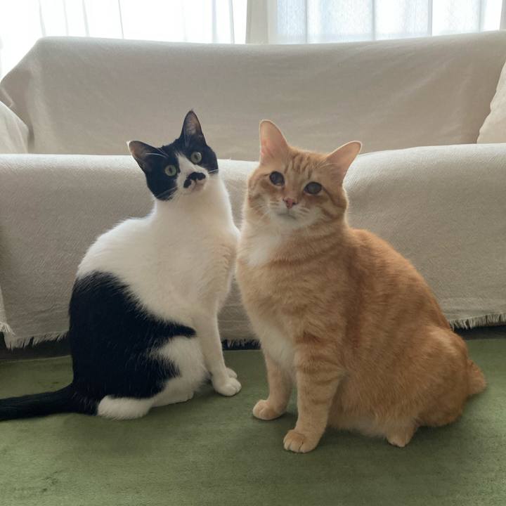 8a3f90c3 bc7d 4511 a80c 54d9dc107089 1770535810327