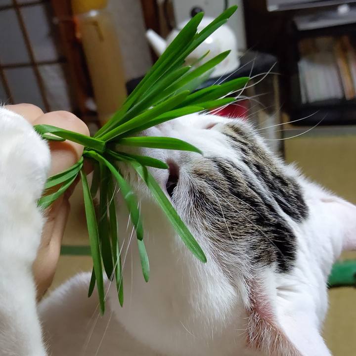 8a3fcbcc 6ce7 4049 be1f 6af6e368feac 1577145977262