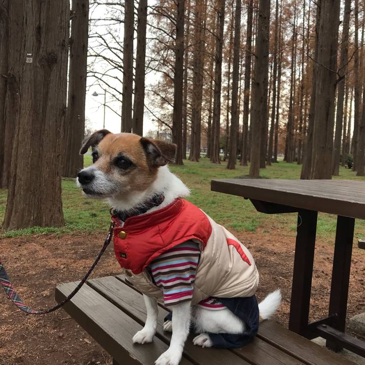 8a402172 f26c 4f06 a7b1 0d14c273923d 1544931982003