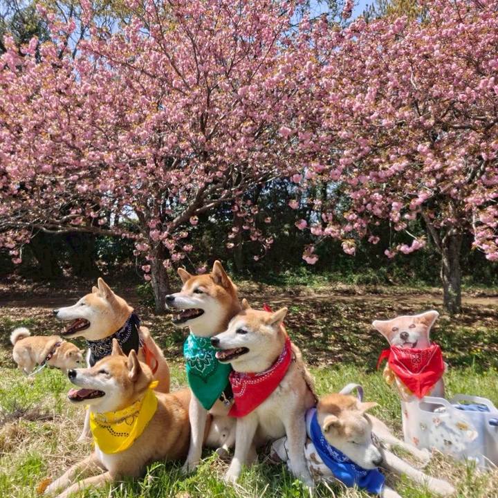 8a402532 9845 4ea8 804d 4e0efd2fab9b 1776010344620