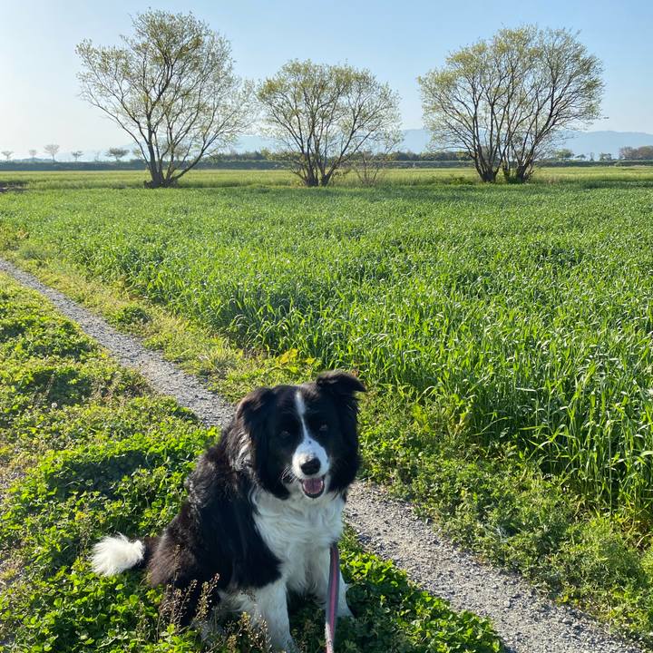 8a40321d 2900 4215 a95e 4d9c813b650c 1649460483567