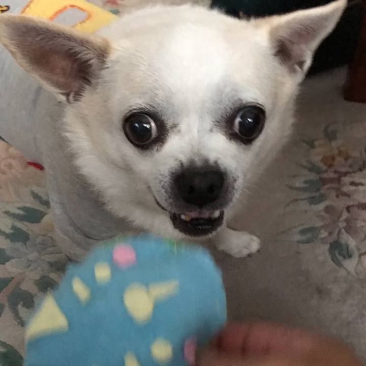 8a40c283 9491 4362 99a3 a27d630cb946 1574079012891