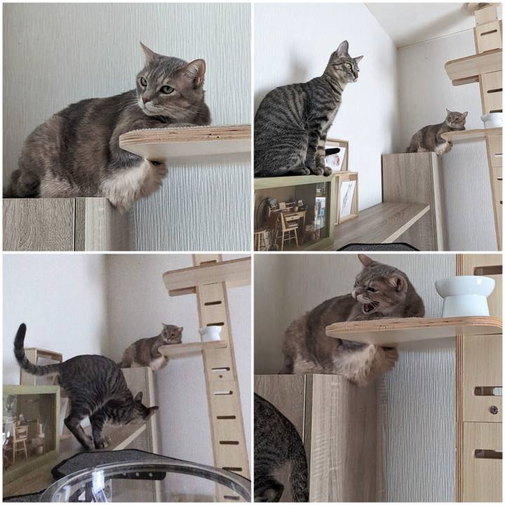 8a40dc1e aa13 4d3e bf1b 56866e981105 1710045347579