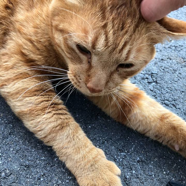 8a41112d b9e5 4020 9c28 230aa18d0905 1522227419327