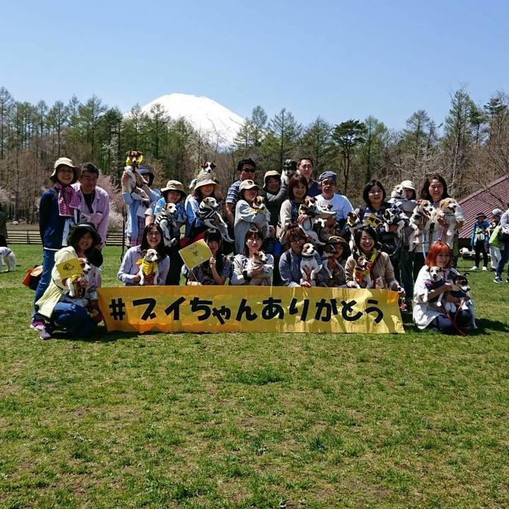 8a413b5d 956b 48b2 9a4c 53c5536ae894 1524365190258